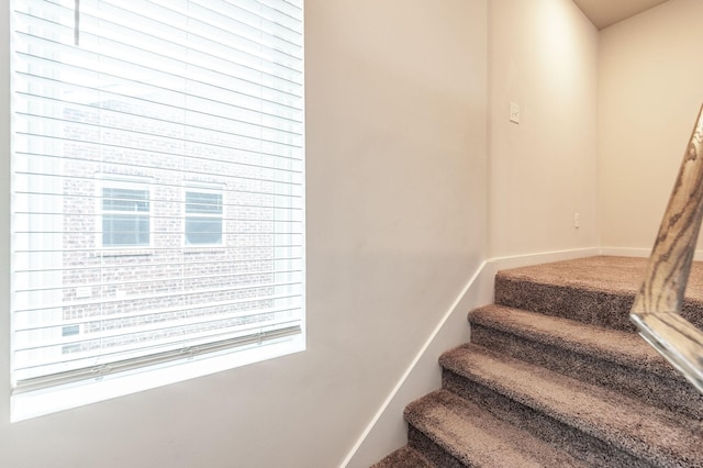 224 Griffin Ln, Gallatin, TN 37066 - staircase with baseboards and carpet floors
