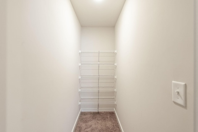 224 Griffin Ln, Gallatin, TN 37066 - walk in closet featuring carpet floors