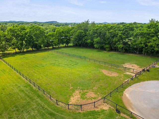 113 St Charles Way, Gallatin, TN 37066 - view of yard with a view of countryside