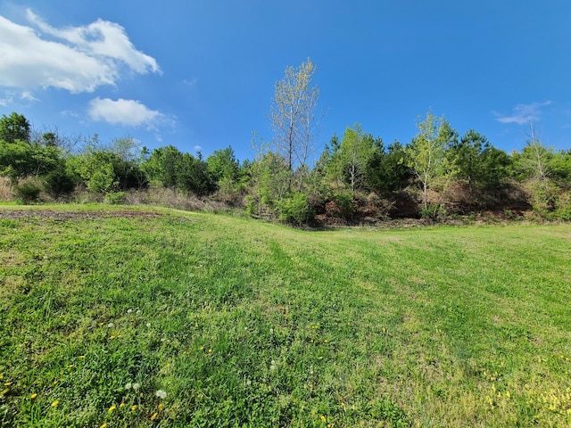 1277 Goodmorning Dr, Nashville, TN 37207 - photo 35