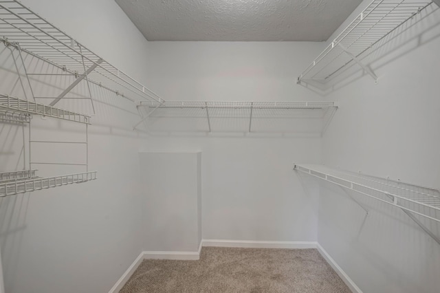 308 Wareham Ct, Antioch, TN 37013 - spacious closet with carpet