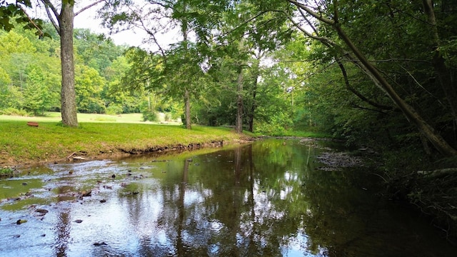 water view featuring a forest view