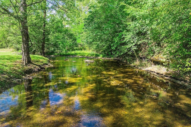 view of water feature featuring a forest view