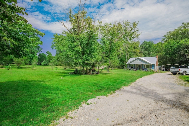 view of yard with a detached carport and dirt driveway