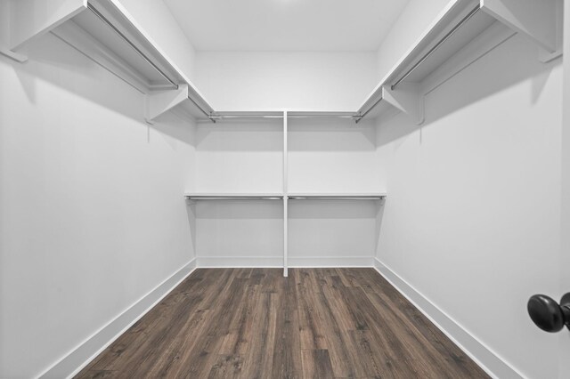 5818 Willoughby Way, Murfreesboro, TN 37129 - walk in closet featuring dark wood-style floors