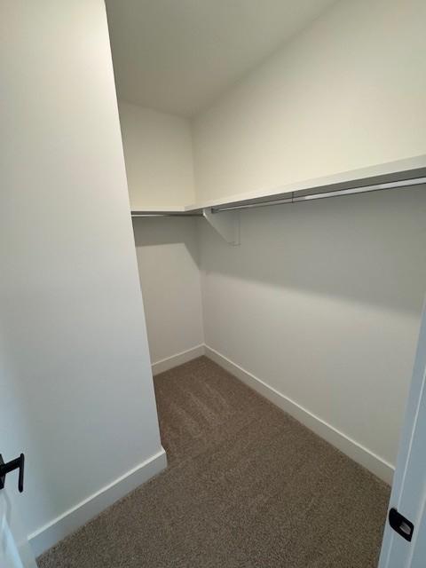 5818 Willoughby Way, Murfreesboro, TN 37129 - walk in closet featuring carpet floors