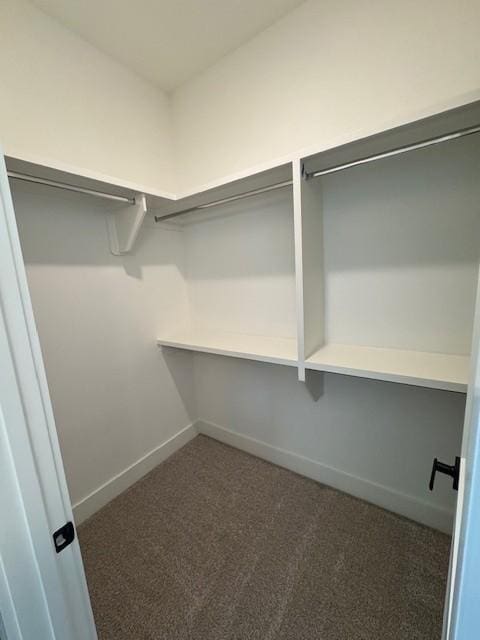 5818 Willoughby Way, Murfreesboro, TN 37129 - walk in closet featuring carpet floors