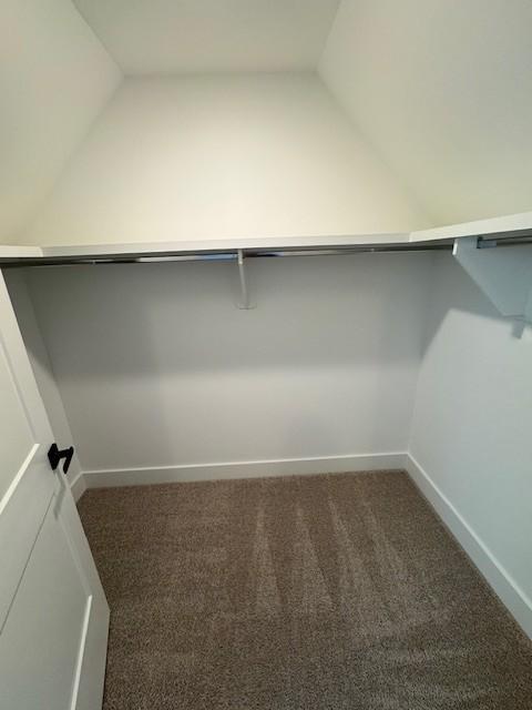 5818 Willoughby Way, Murfreesboro, TN 37129 - spacious closet featuring lofted ceiling and carpet floors