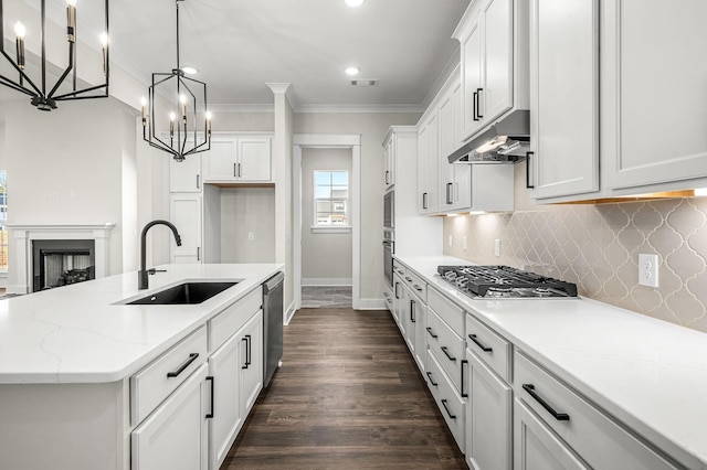 kitchen with appliances with stainless steel finishes, a sink, baseboards, under cabinet range hood, and visible vents