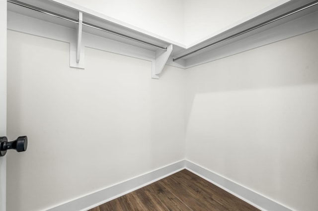 spacious closet featuring dark wood-style floors