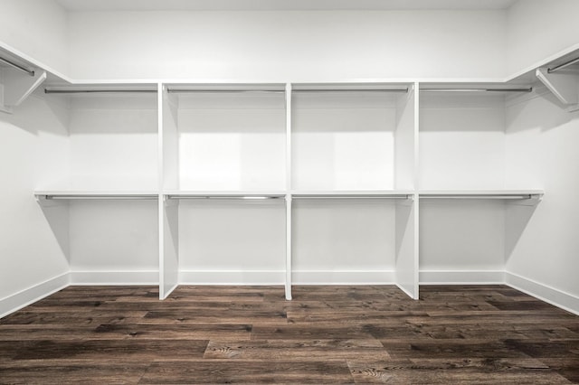 walk in closet with dark wood-style floors