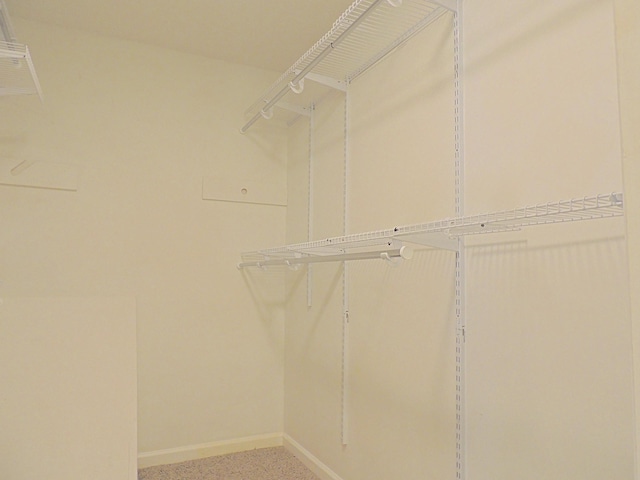 436 Bluff Dr, Clarksville, TN 37043 - view of spacious closet