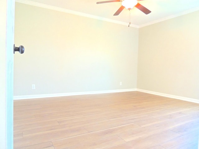 436 Bluff Dr, Clarksville, TN 37043 - spare room with crown molding, ceiling fan, baseboards, and light wood-style flooring