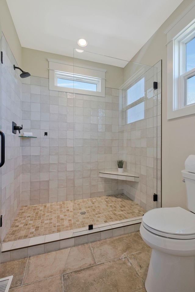 3050 Horn Springs Rd, Lebanon, TN 37087 - full bathroom with toilet, a wealth of natural light, and a stall shower