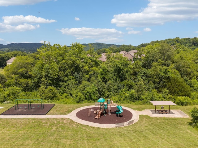 9024 Nestling Ridge Ct, College Grove, TN 37046 - community playground with a lawn