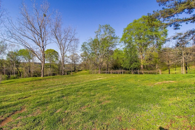 444 Cooley Rd, Waverly, TN 37185 - photo 28