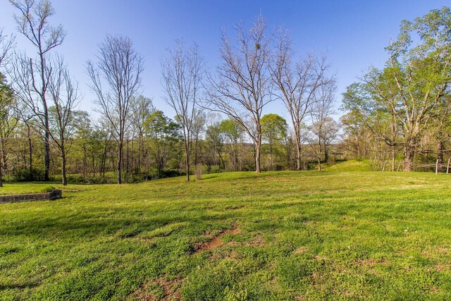 444 Cooley Rd, Waverly, TN 37185 - photo 32