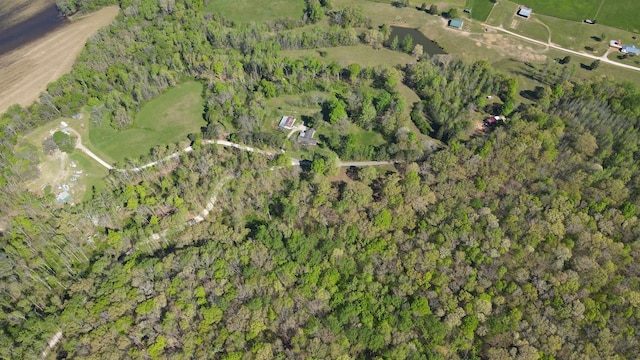 444 Cooley Rd, Waverly, TN 37185 - photo 36