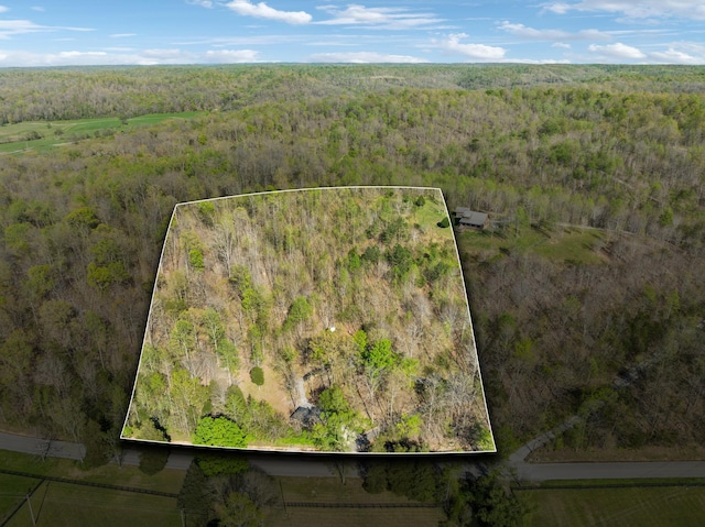 bird's eye view with a forest view