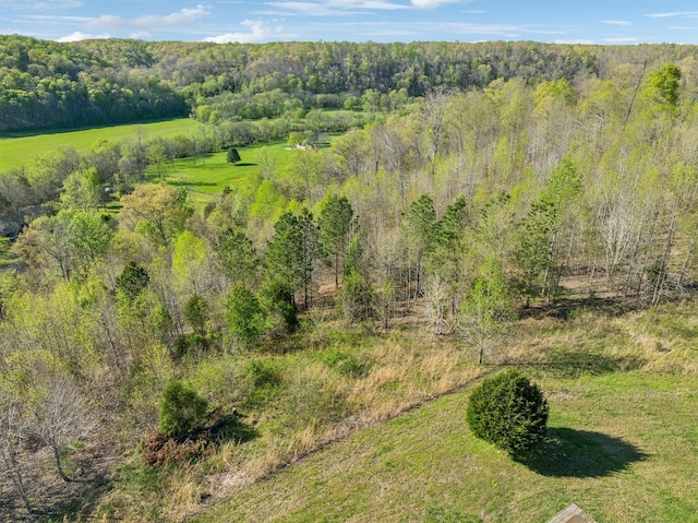 5290 Old Harding Rd, Franklin, TN 37064 - bird's eye view of a forest