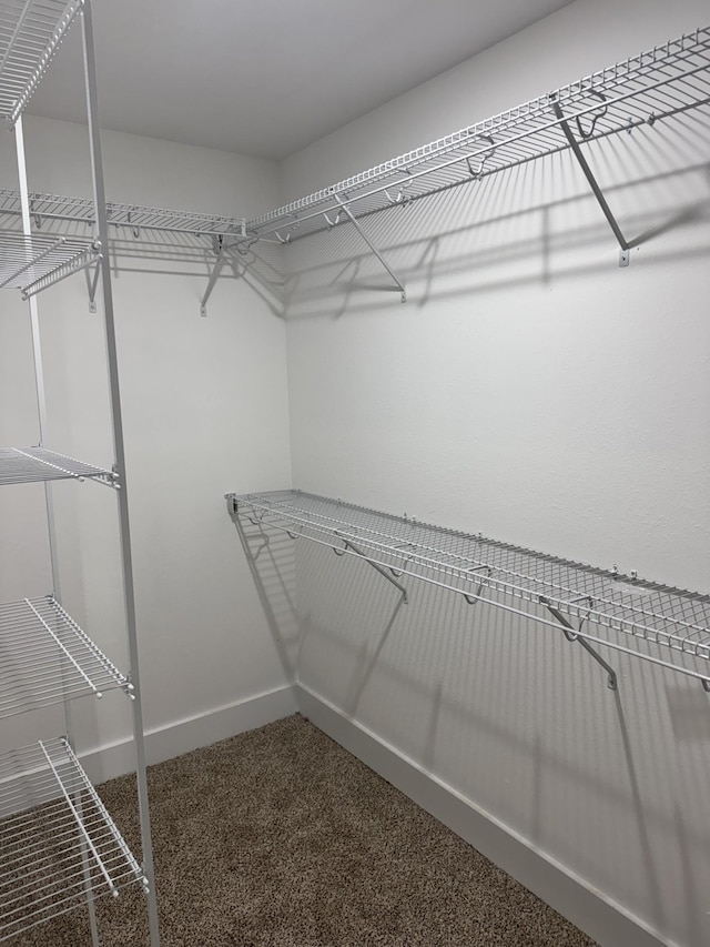 170 Cardinal Crk, Clarksville, TN 37040 - spacious closet featuring carpet floors