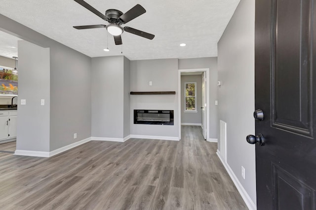 4817 Terragon Trl, Antioch, TN 37013 - unfurnished living room featuring a glass covered fireplace, light wood-style flooring, a wealth of natural light, and a sink