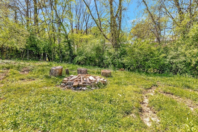 4817 Terragon Trl, Antioch, TN 37013 - view of yard