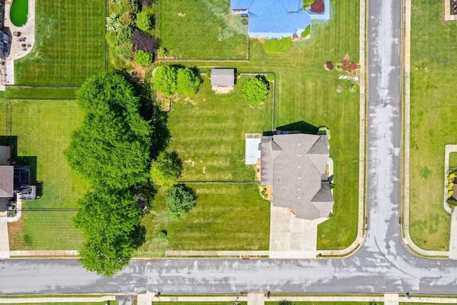 bird's eye view