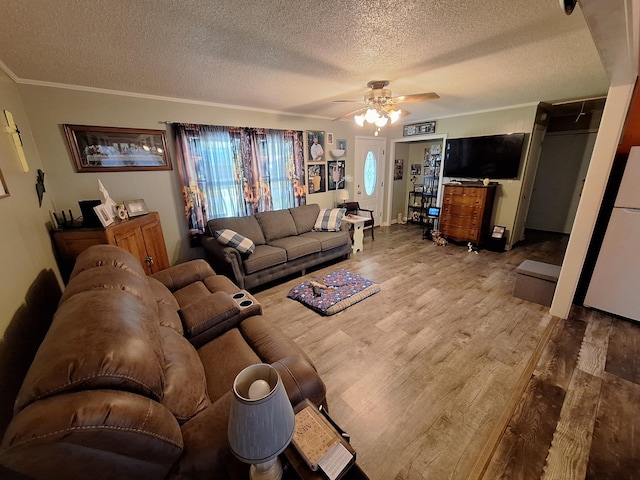 284 Jones St, Huntingdon, TN 38344 - photo 8