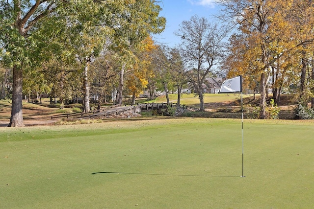 9401 Lazy Circles Dr, Ooltewah, TN 37363 - surrounding community with a putting area and golf course view