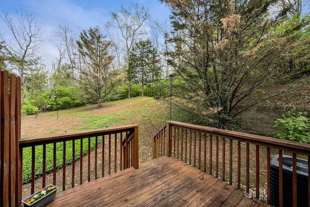 547 Swiss Ave, Nashville, TN 37211 - photo 30