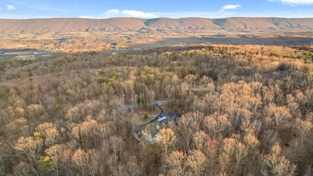 property view of mountains with a wooded view