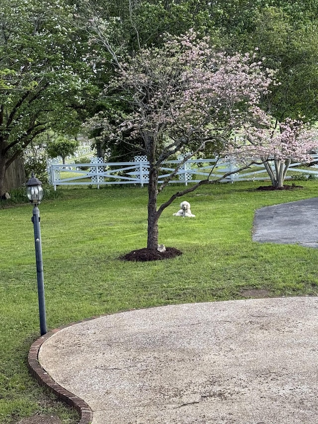 437 E College St, Pulaski, TN 38478 - view of home's community featuring fence and a lawn
