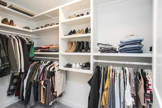 spacious closet with carpet