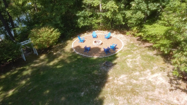 drone / aerial view