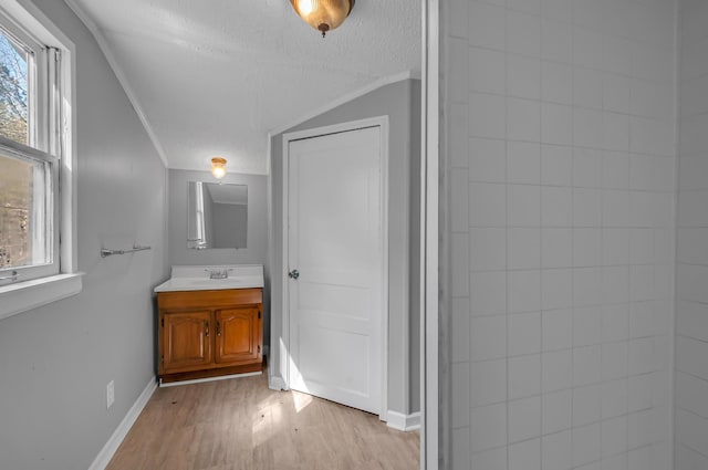 1425 Wesley Rd, Bon Aqua, TN 37025 - bathroom with baseboards, vanity, wood finished floors, and a textured ceiling