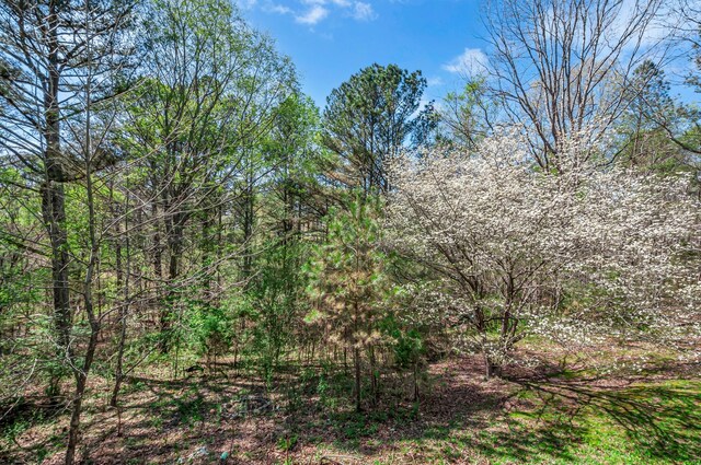 1425 Wesley Rd, Bon Aqua, TN 37025 - view of landscape