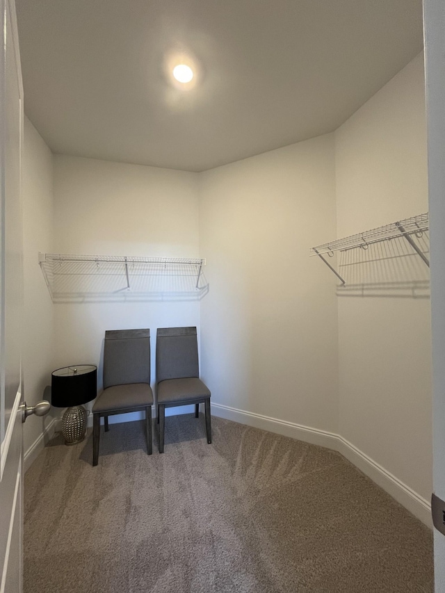 walk in closet with carpet floors