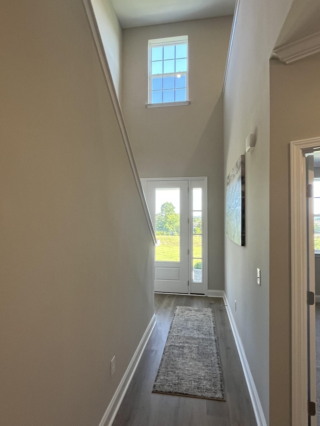 doorway featuring dark wood-style flooring, baseboards, and plenty of natural light