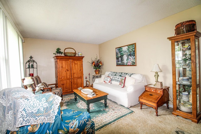 view of carpeted living area