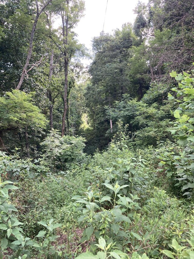 2207 Riley Creek Rd, Whitleyville, TN 38588