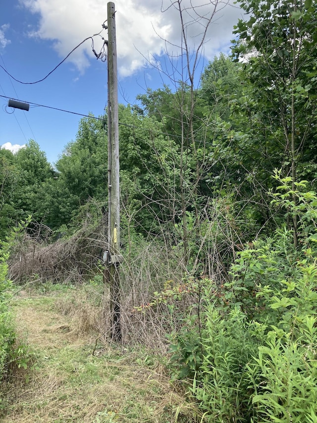 2207 Riley Creek Rd, Whitleyville, TN 38588
