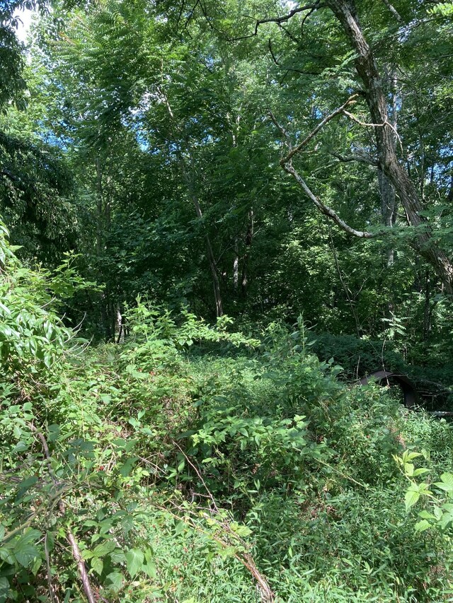 2207 Riley Creek Rd, Whitleyville, TN 38588