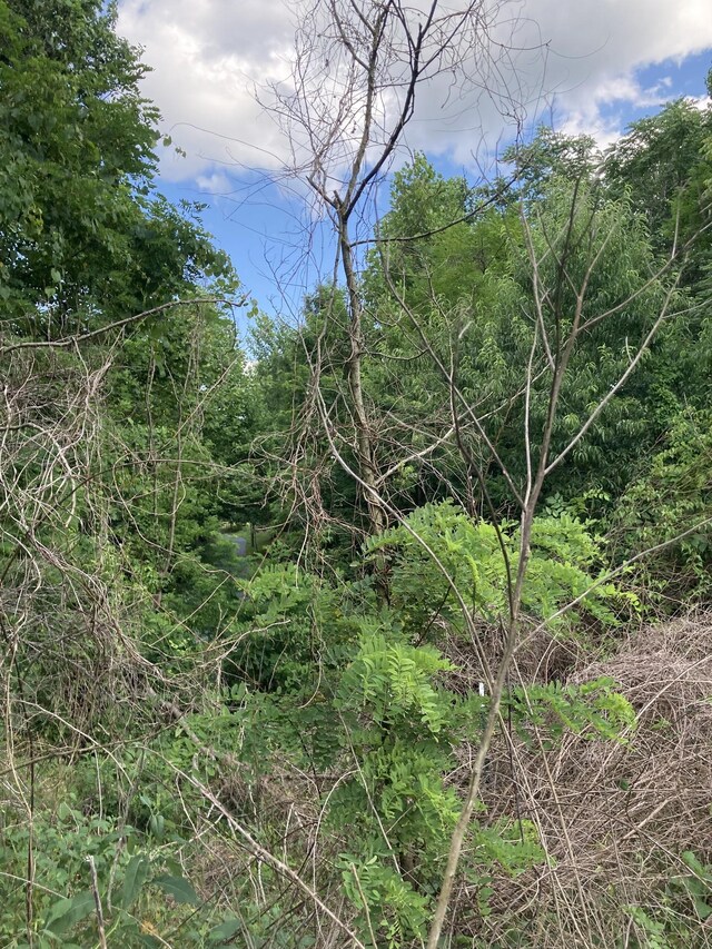 2207 Riley Creek Rd, Whitleyville, TN 38588