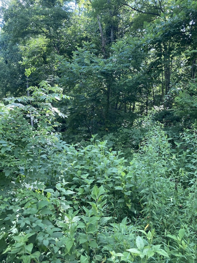 2207 Riley Creek Rd, Whitleyville, TN 38588