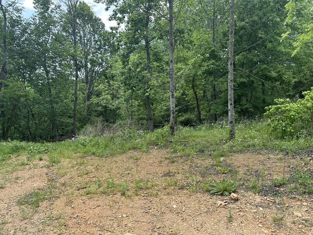 2207 Riley Creek Rd, Whitleyville, TN 38588
