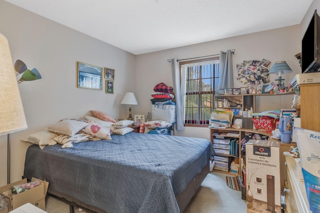 4801 Old Shelbyville Rd, Tullahoma, TN 37388 - view of bedroom