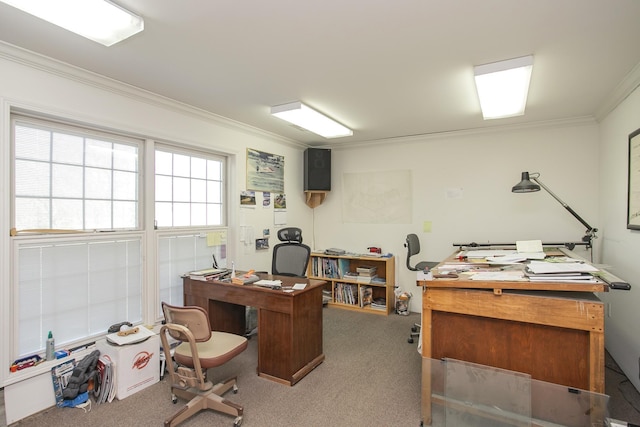 1035 Forest Harbor Dr, Hendersonville, TN 37075 - carpeted office with ornamental molding