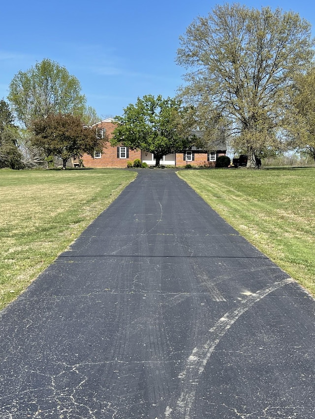 view of street with driveway