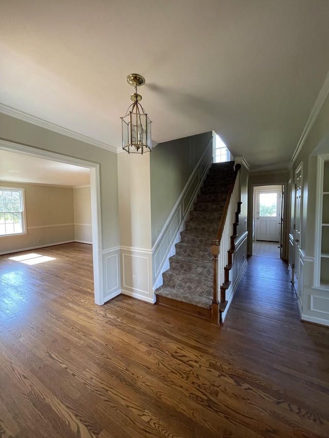 entrance foyer featuring crown molding, an inviting chandelier, dark wood finished floors, and stairs